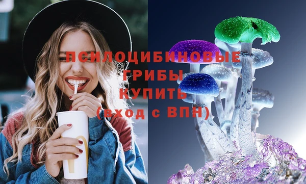 тгк Бронницы